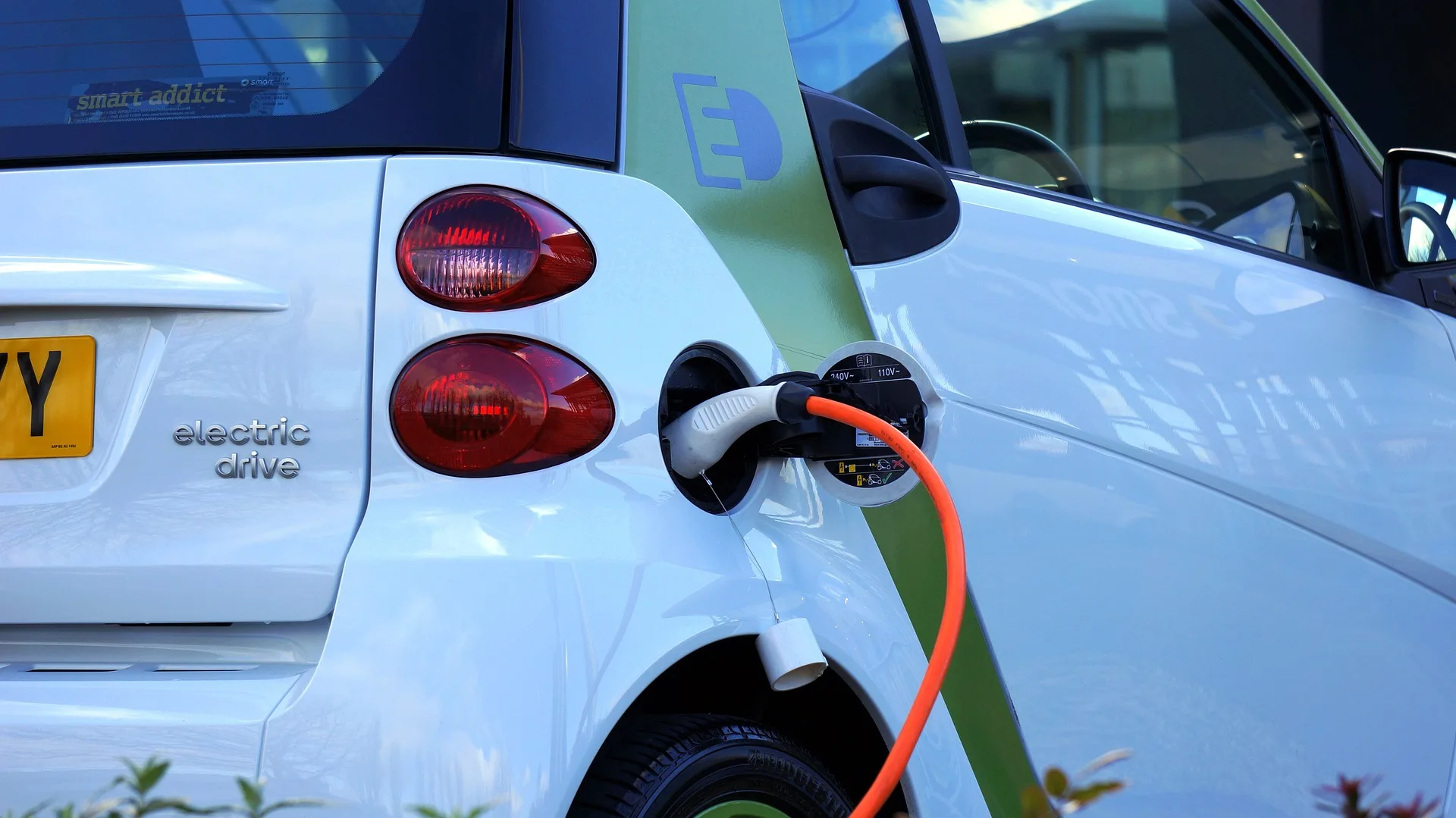 electric vehicle industry