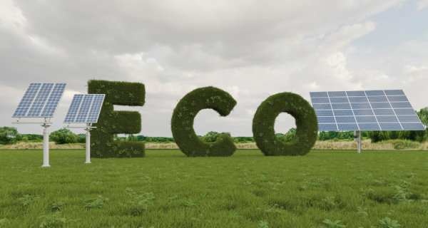 Overcoming Challenges of Eco-Conscious Industrialization